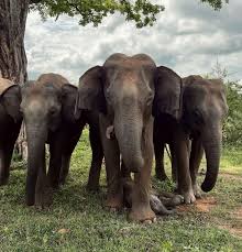 Serene Beach Retreat