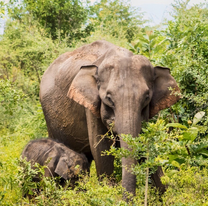 Santorini Architecture